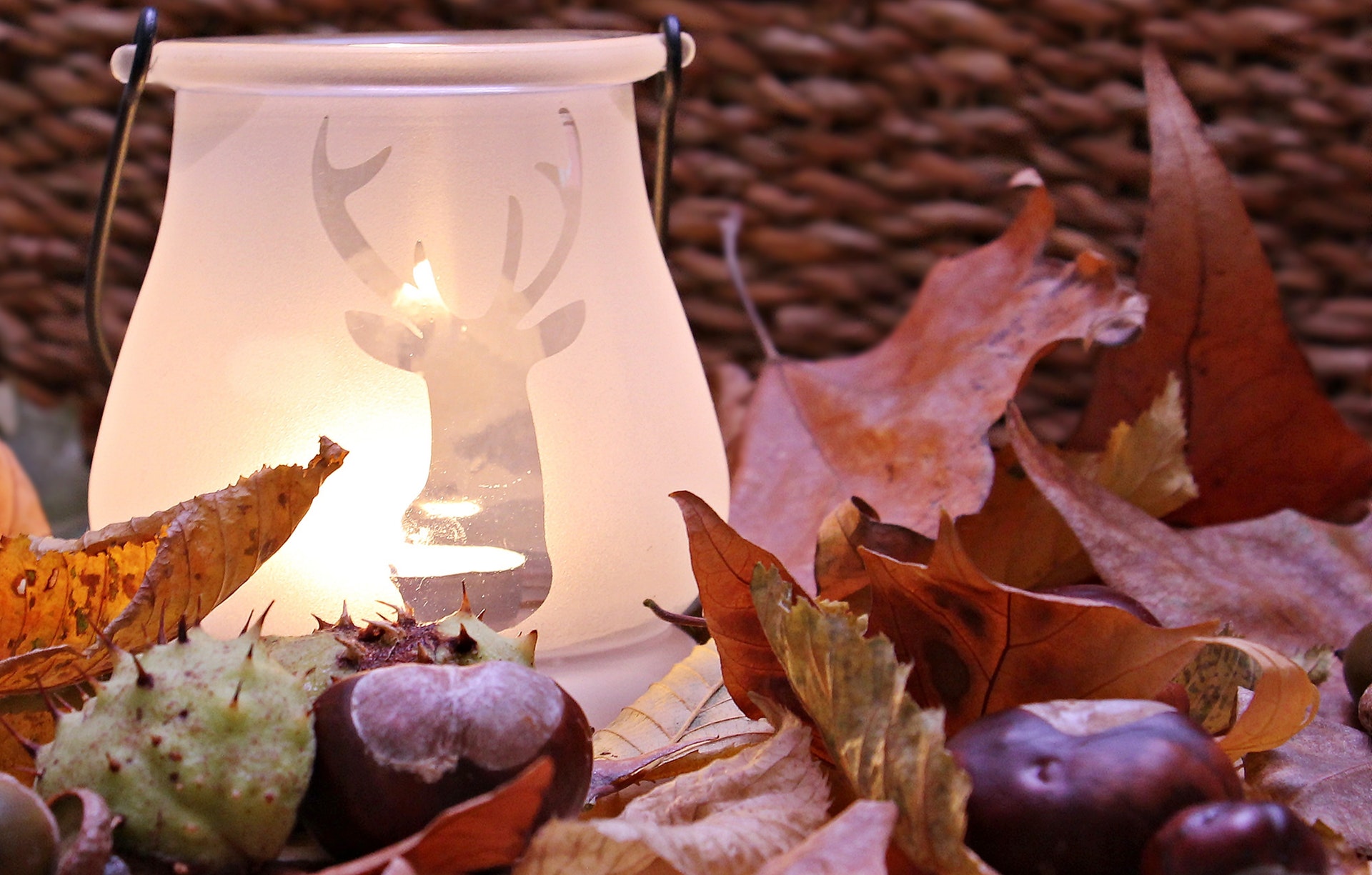 autumn-decoration-bright-candle